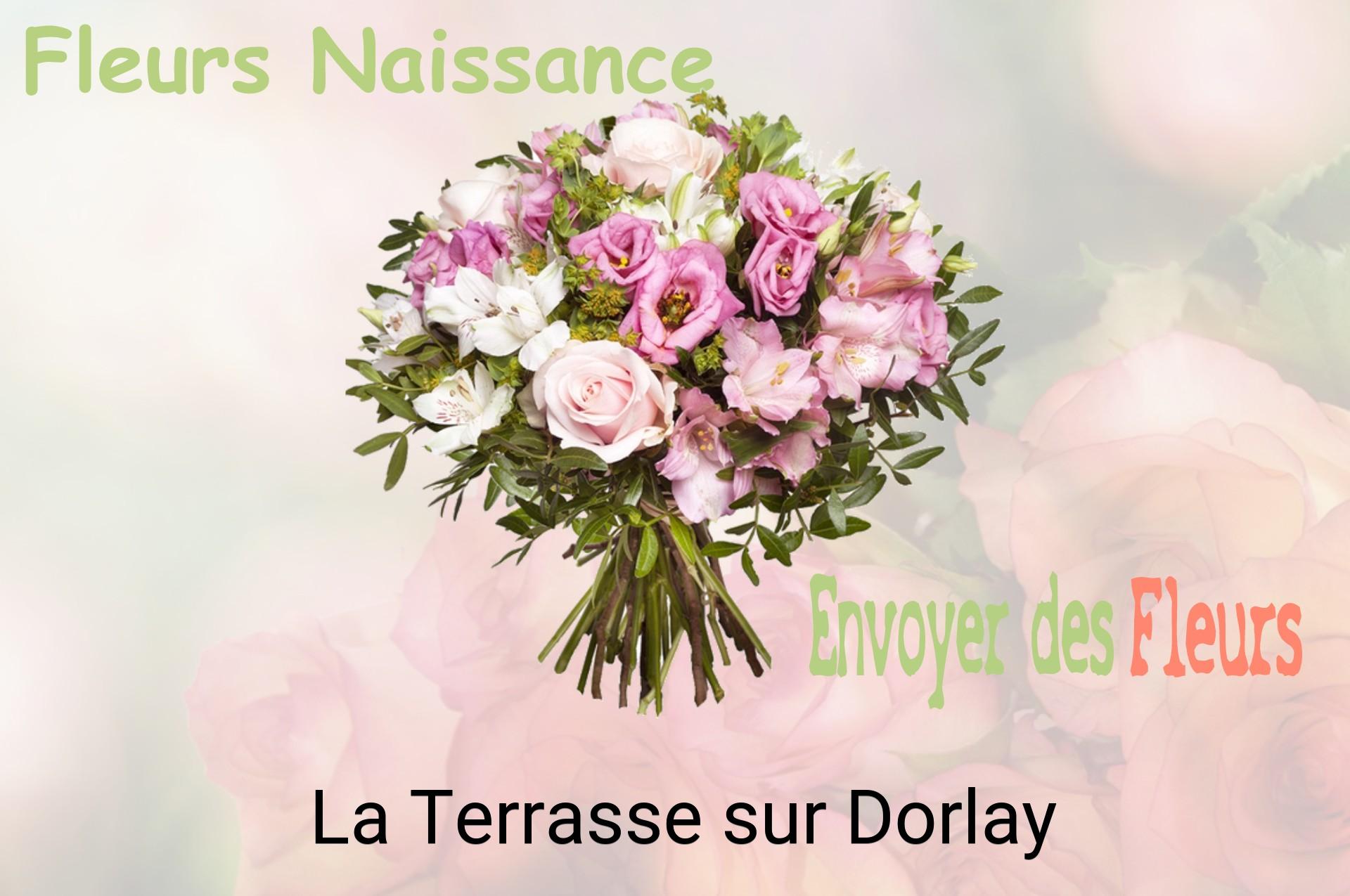 Bouquet de fleurs de naissance livré à La Terrasse-sur-Dorlay